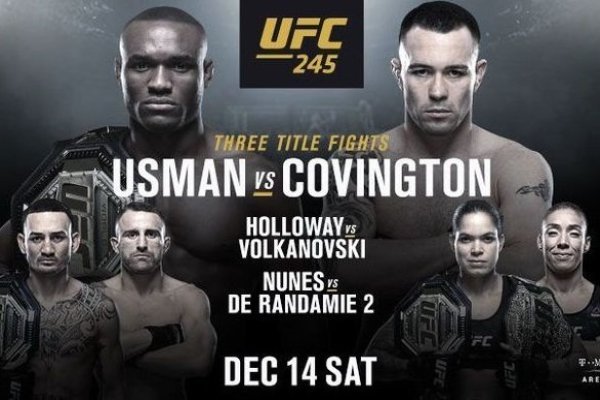 UFC 245. Яркий конец года?