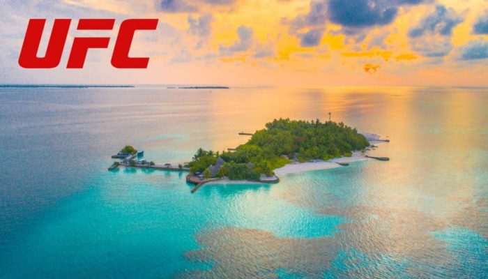 UFC: четыре турнира на бойцовском острове в июле!